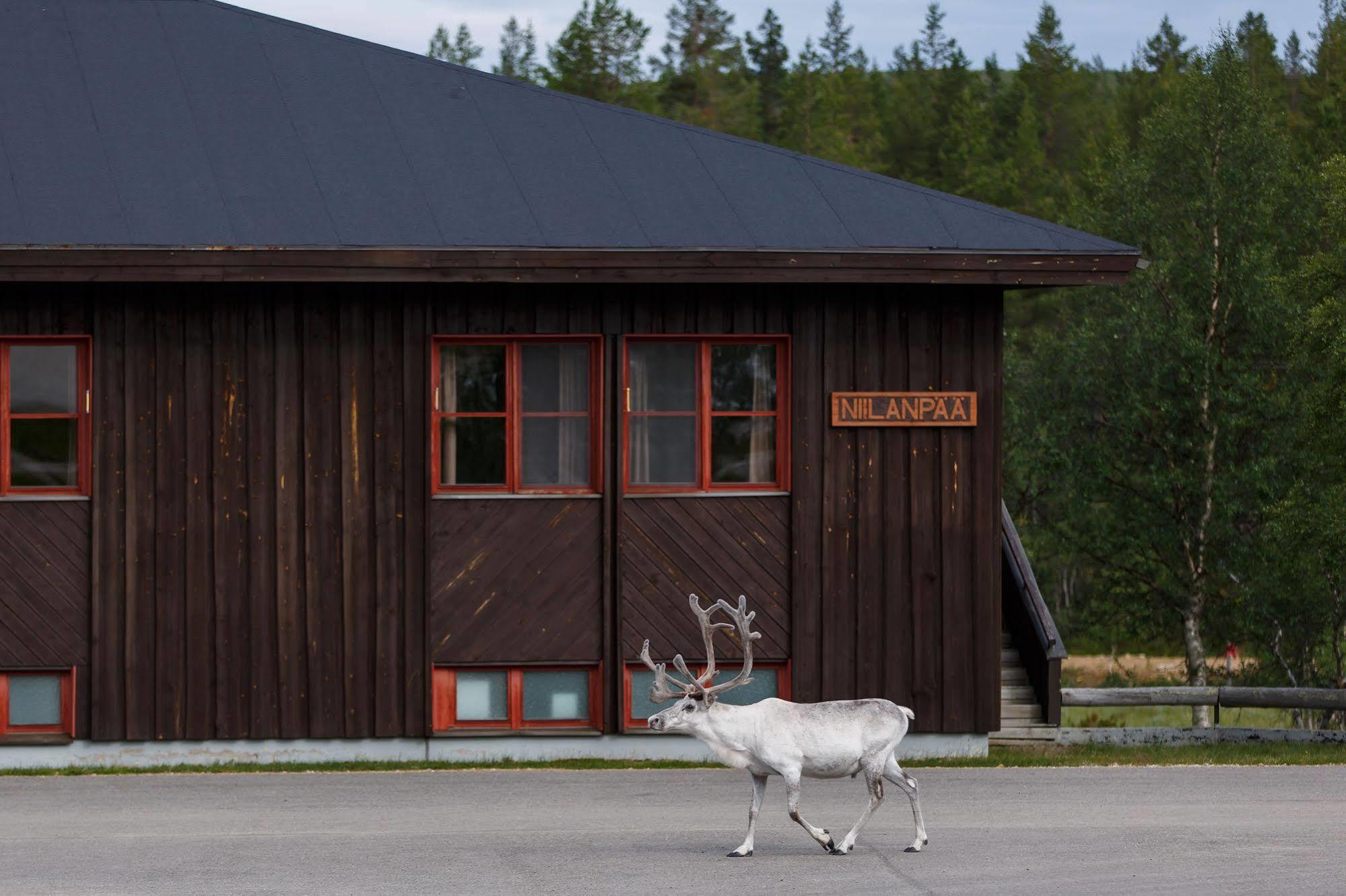 Fell Centre Kiilopaeae, Hotelli Niilanpaeae Сааріселькя Екстер'єр фото